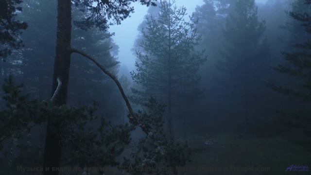 Музыка, которая звучит как обещание 'мы вернёмся сюда ещё раз' - Goodnight Rhonda Lee -- Nicole Atki