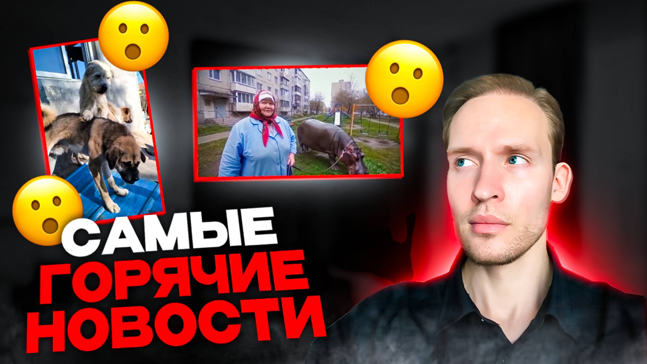 Самый Авторитетный Пёс В Мире...Бабушка Завела Домашнего Бегемота😳Топ 10 новостей! #топыкатегорий