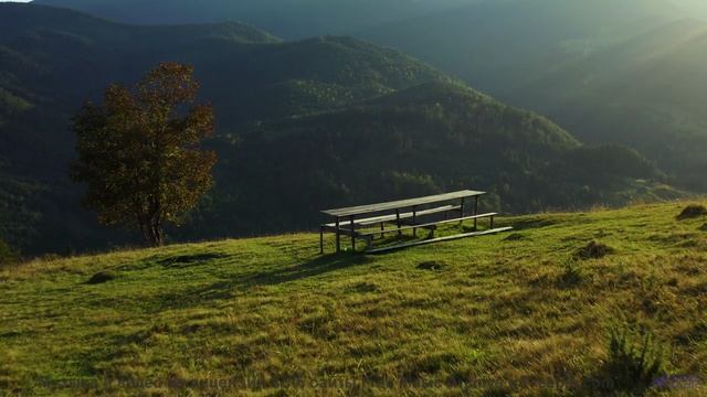 Трек, который вы включите, когда впервые увидите океан вместе - Chills -- HoliznaCC0 -- Sad Beats