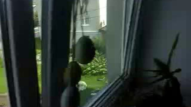 SV_A0033.mp4