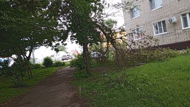 1000008241.mp4444