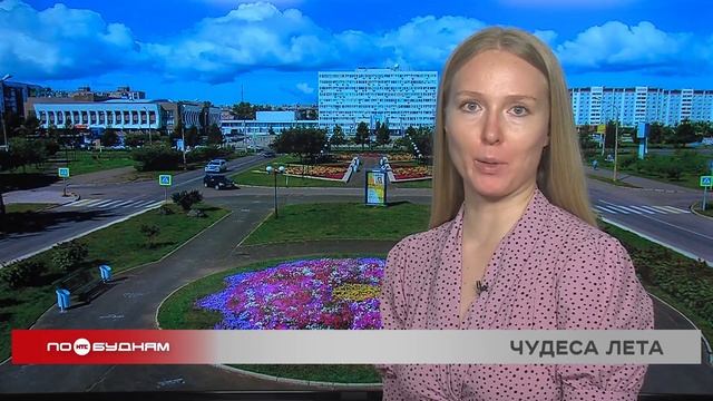 "По весточке": чудеса лета