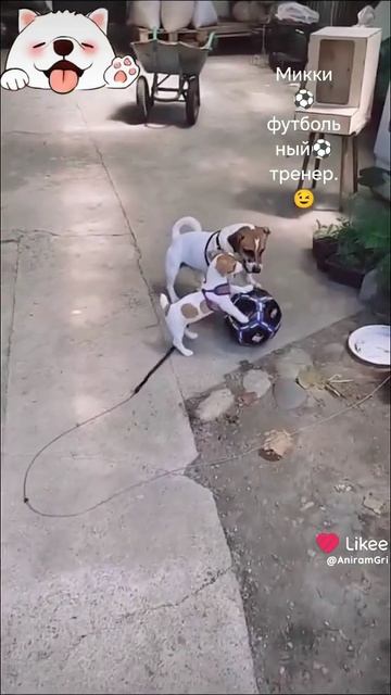 1000310238.mp4