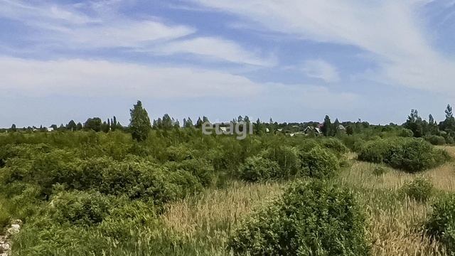 4303562