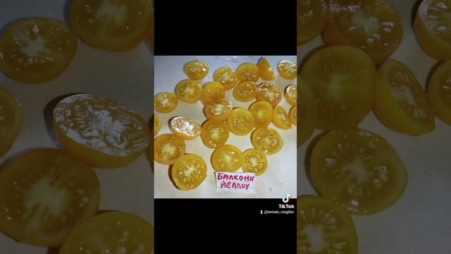Обзор томатов Балкони йеллоу , Непас 9 и Ярсон 17 .