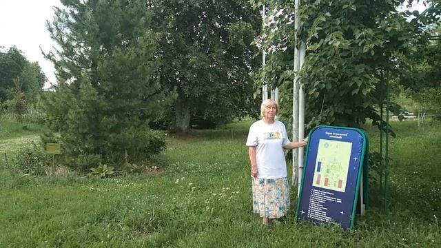 Заезд по аргонавтике в строящийся Город Будущего МаЭД Митроград.Татьяна Крицкая. Мир Универсологии