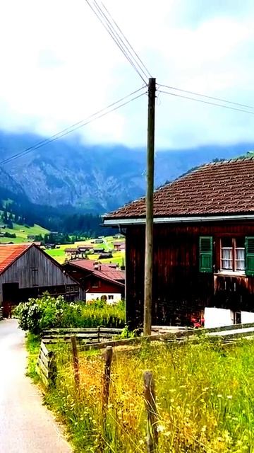 Неожиданные открытия перед камерой