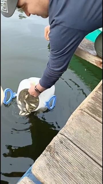 зарыбление р.Десна г.Троицк #рыболовтроицк #Троицк #десна #москва #поймалотпусти #заречье