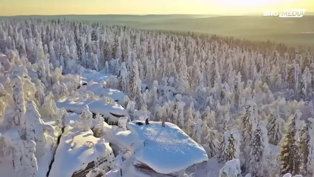 Поздравление с Днём России 🇷🇺от студентов Белорусско-Российского 🇧🇾 🇷🇺 университета.