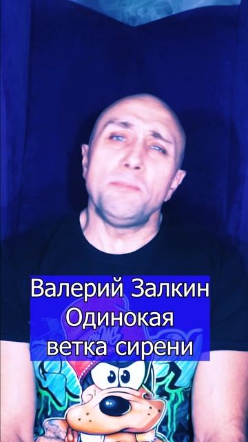 Валерий Залкин - Одинокая ветка сирени Клондайс кавер