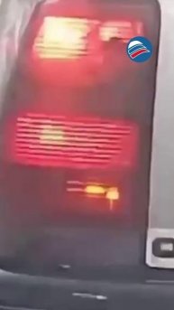 Необычный пассажир: живая мышь в фаре автомобиля