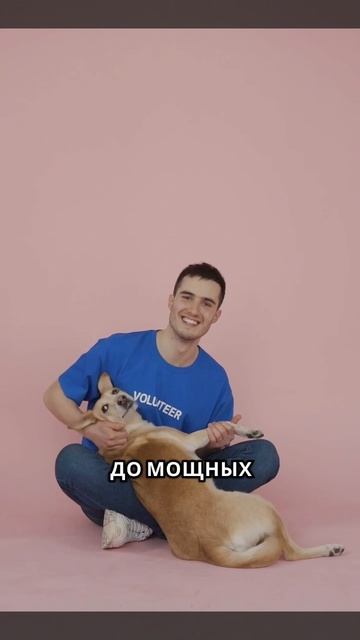 Пр0дажи растут за 5 минут !