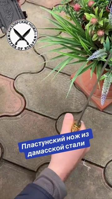 Нож Пластунский из дамасской стали