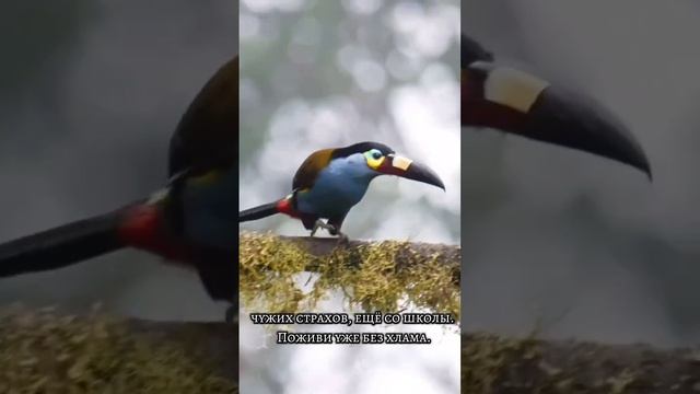 тенденции дня