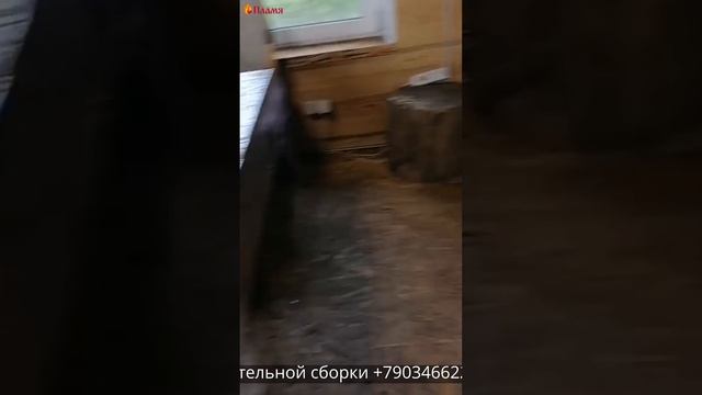 Баранья нога в казан-тандыре от Артёма из г.Великие Луки