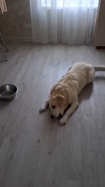 1000481888.mp4
