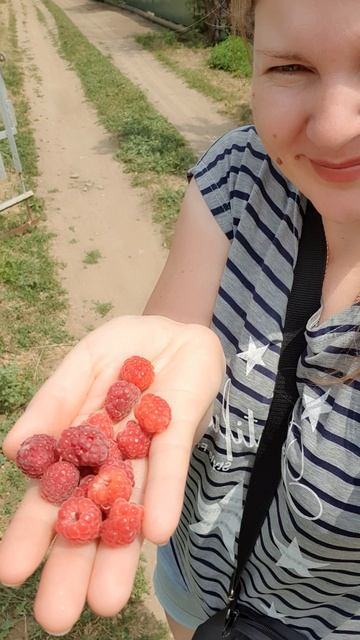 Уже малинка поспела