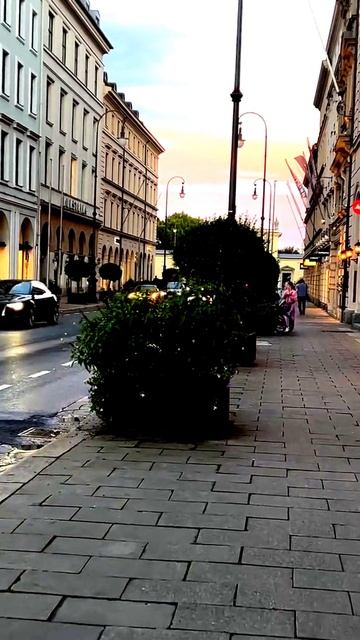 Камера запечатлела