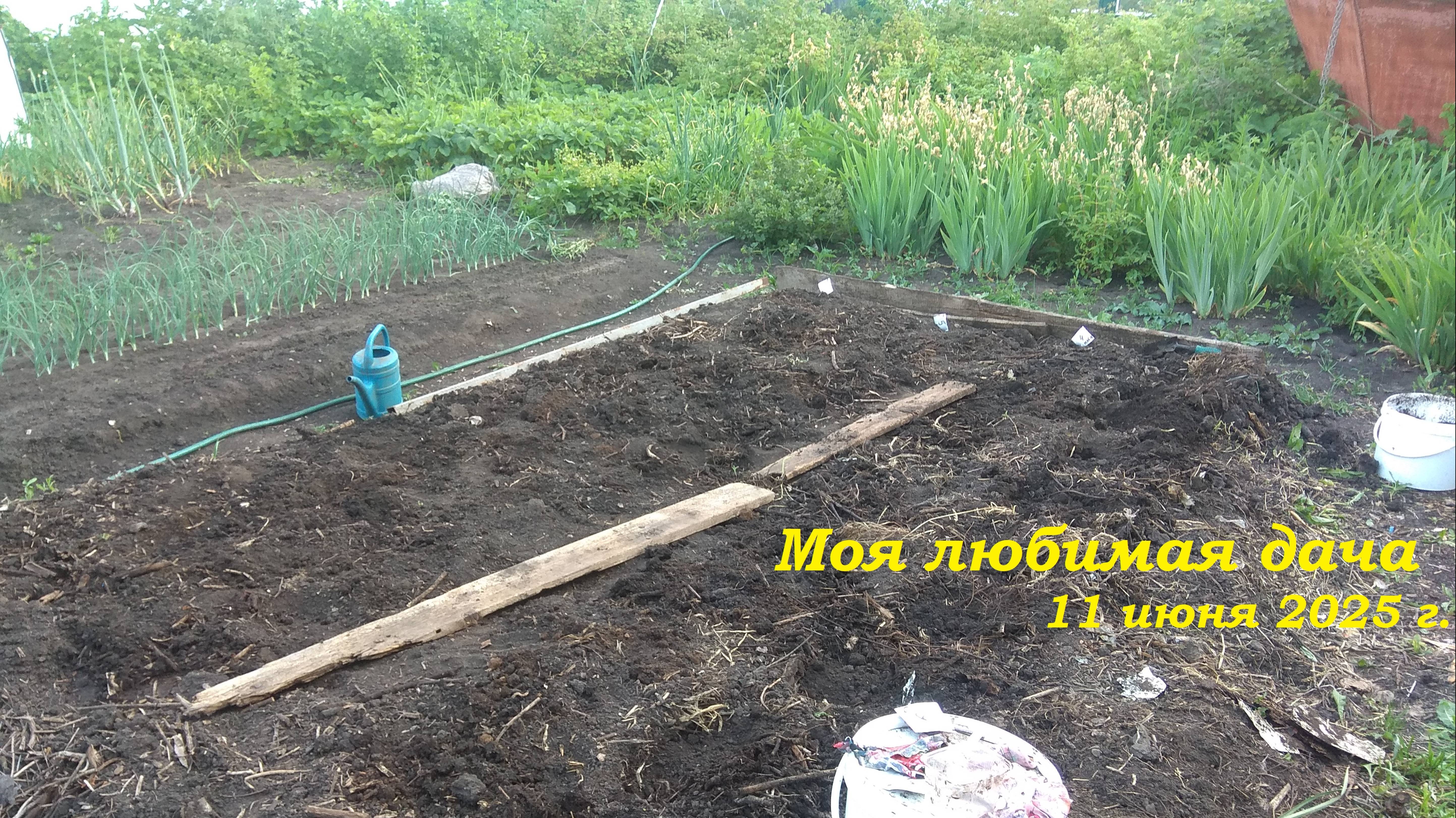 11.06.2025 _ Моя любимая дача