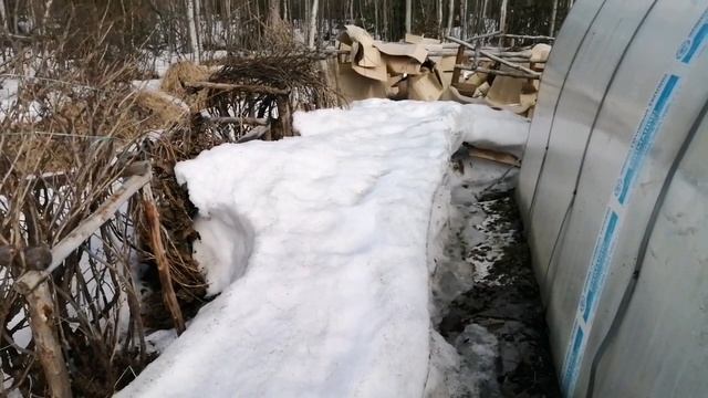 18.05.2024. Дача. Вся в сугробах🥶)