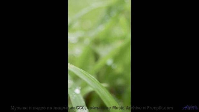 Эти кадры с музыкой - мощнее любого релакса - uRLauB -- Phillip Gross -- HoLiDaYS