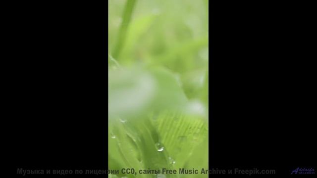 Вы не слышали море таким, пока не включили этот трек! - Iluvmytesla  Maarten Schellekens -- Independ