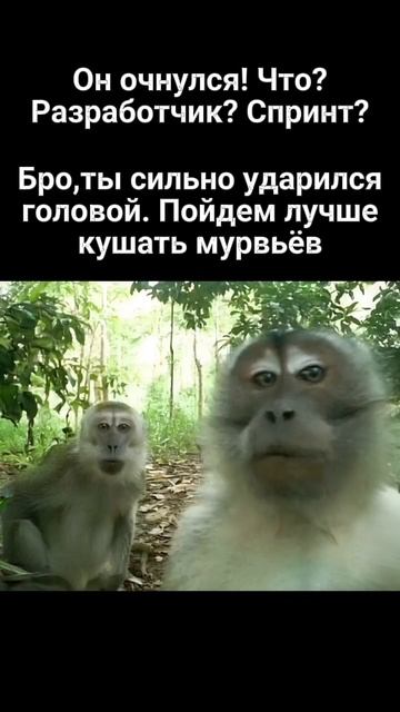 Это все ужасный сон