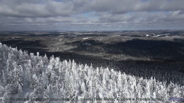 Это видео изменит ваш день! - Pockets of Ash -- One Man Book -- Life is a Language