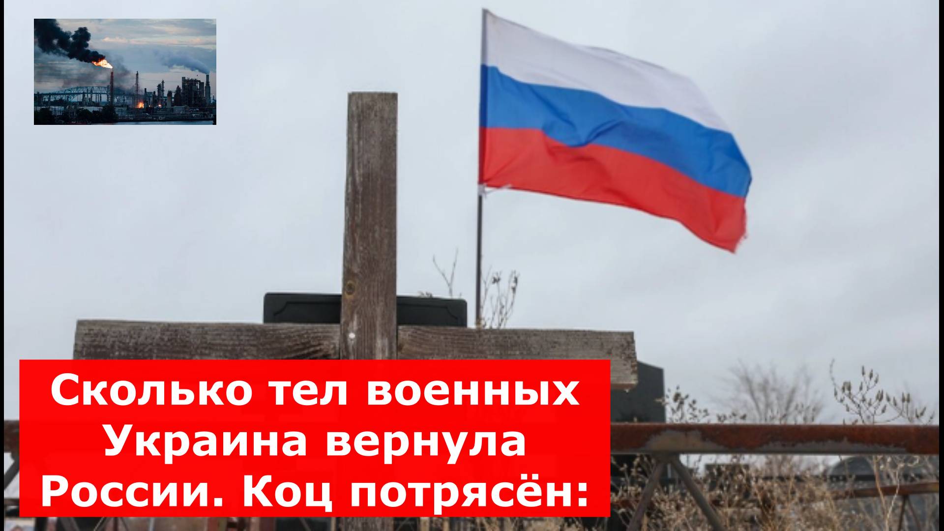 Сколько тел военных Украина вернула России. Коц потрясён: "Ошеломляющая пропорция"