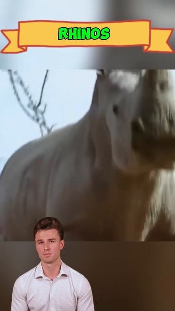 pr3z0TBL75w - ＊＊＂Elephant vs. Rhino： Clash of Giants, Strength Over Speed＂＊＊ #shorts #animals #wildl
