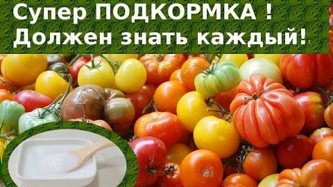 ОБЯЗАТЕЛЬНО Попробуйте эту СЕКРЕТНУЮ ПОДКОРМКУ для ТОМАТОВ и ПЕРЦЕВ!