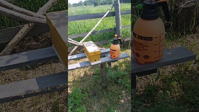 отцовские семьи для вечернего облёта.