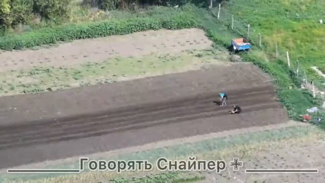 В Алексеевке жители сажают картошку, пока на соседних улицах идут бои.