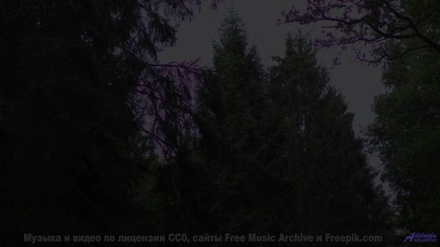 Самые завораживающие виды под хит года - Lost Time -- Satellite State -- Collective