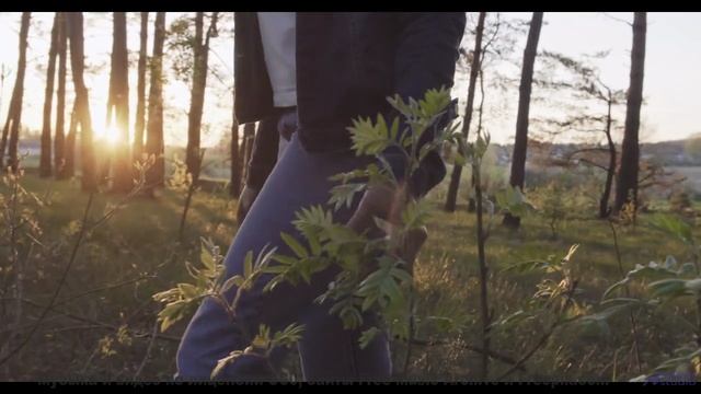 Музыка звучит так, что хочется раствориться в природе - Clear Progress -- Scott Holmes Music -- Corp