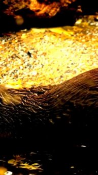 Реальные моменты