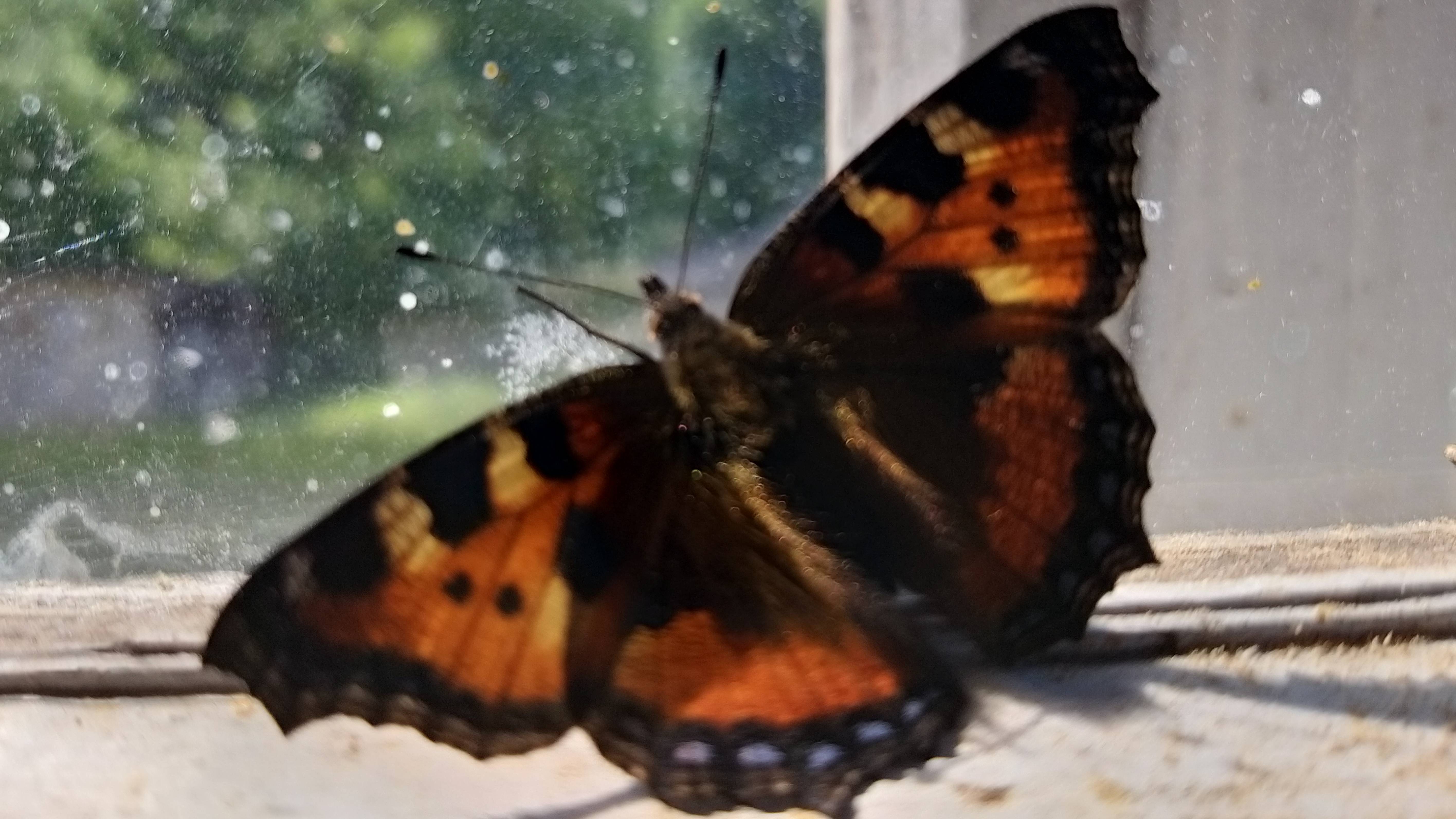 Dazhgod.Music.Дом.Vladimir N.Borzunov_New History dom_remiks.mp4