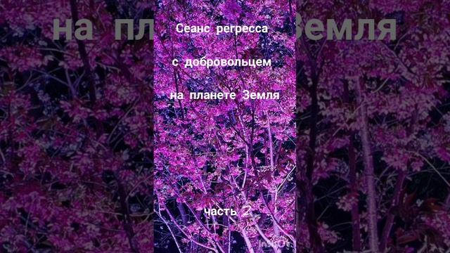 сеанс с добровольцем часть 2.