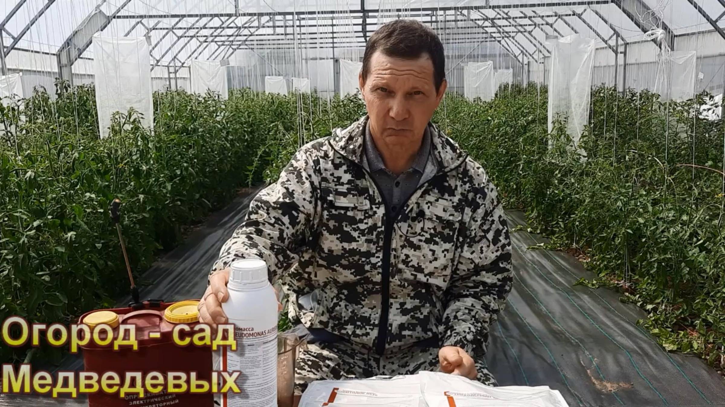 Комплексная защита томатов, перцев и баклажанов от болезней