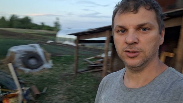 Паника 50 уток и гусей. Куда их разместить? Есть решение...