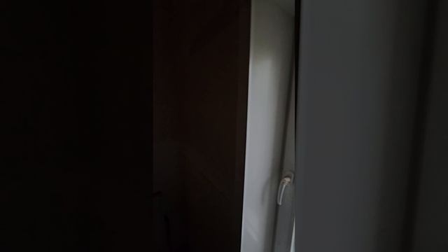 деревня Чесноково,  Истринский район, дом с огромным земельным участком