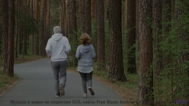 Леса превращаются в личный космос под эту мелодию - Road Trip -- Scott Holmes Music -- Rock Backgrou