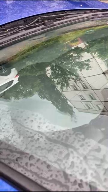 скрип