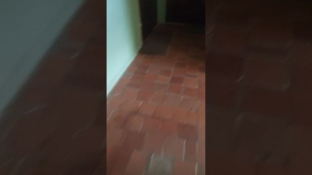 1000001239.mp4