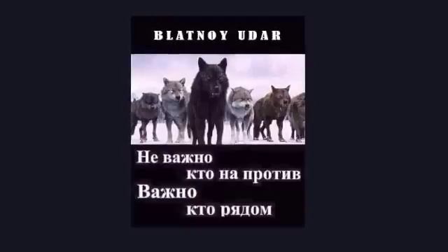 Blatnoy udar Official Про друзей Live