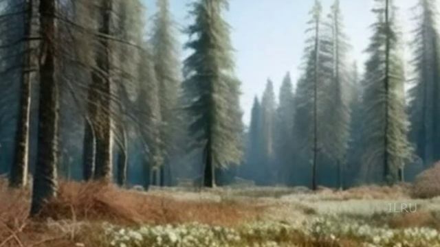 Мистические истории из жизни бесплатно - Я слышу то, чего нет...