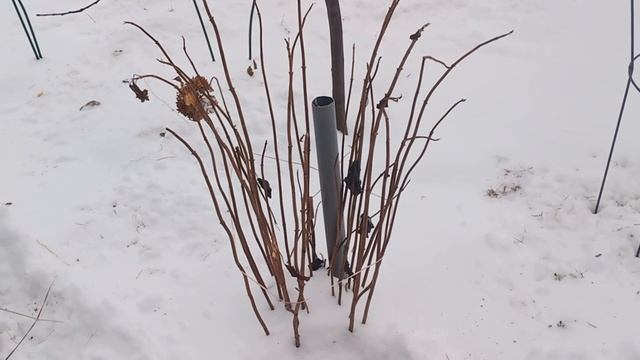 Ваза 90 50 40 6 мм КД 2022