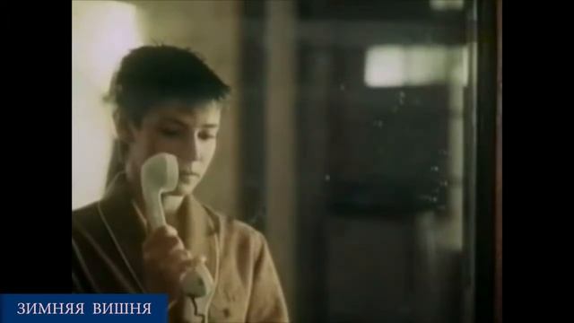 Зимняя вишня