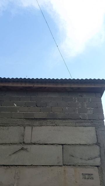 сосиска улетела