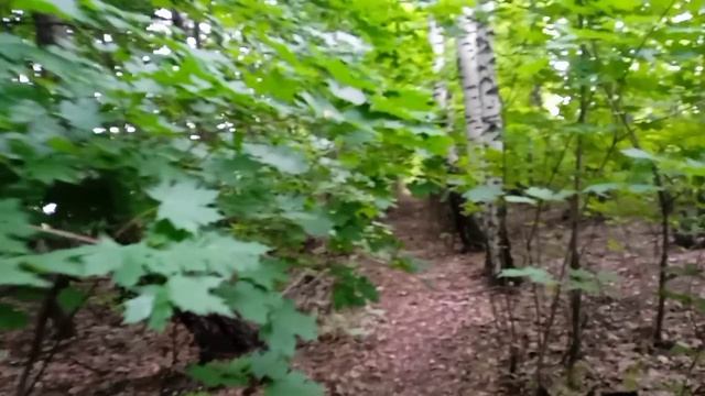 моё впечатление
